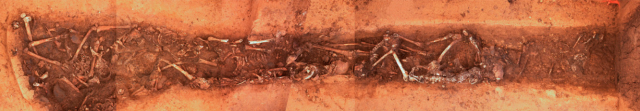 Composite image of the Linear Pottery culture mass grave of Schöneck-Kilianstädten, Germany