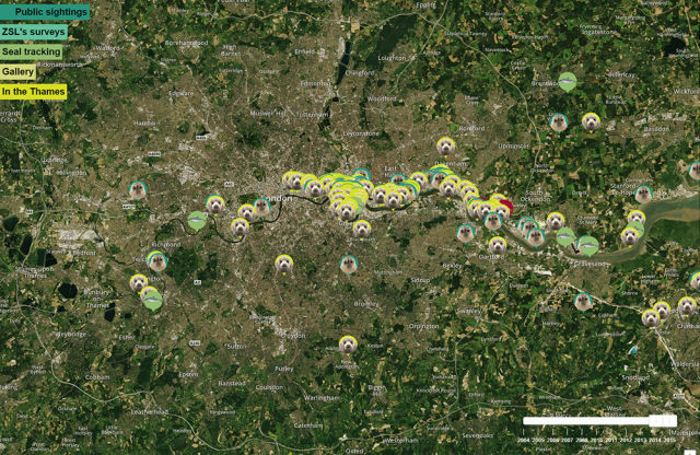 Public sightings of mammals on the Thames. Visit <a href="http://sites.zsl.org/inthethames/">the ZSL website</a> to scroll around the complete map.