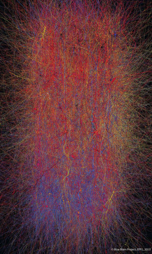 An image from the Blue Brain project, showing the complexity of the mammalian neocortical column. Shown here is "just" 10,000 neurons and 30 million interconnections. A human brain is millions of times more complex than this.