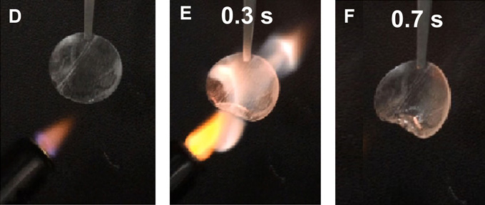 Digital photographs showing the flammability of the TPP@PVDF-HFP separator wetted by the electrolyte. The respective times, counted from the time when the electrolyte started to burn, are indicated in each picture. The diameter of the separator is 1.6 cm.